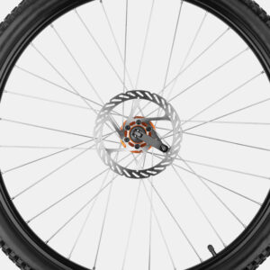 Shock Absorbers – Bild 2